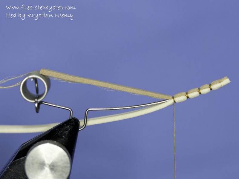 Daddy Long Legs (Crane fly) pattern for lake stillwater fishing How